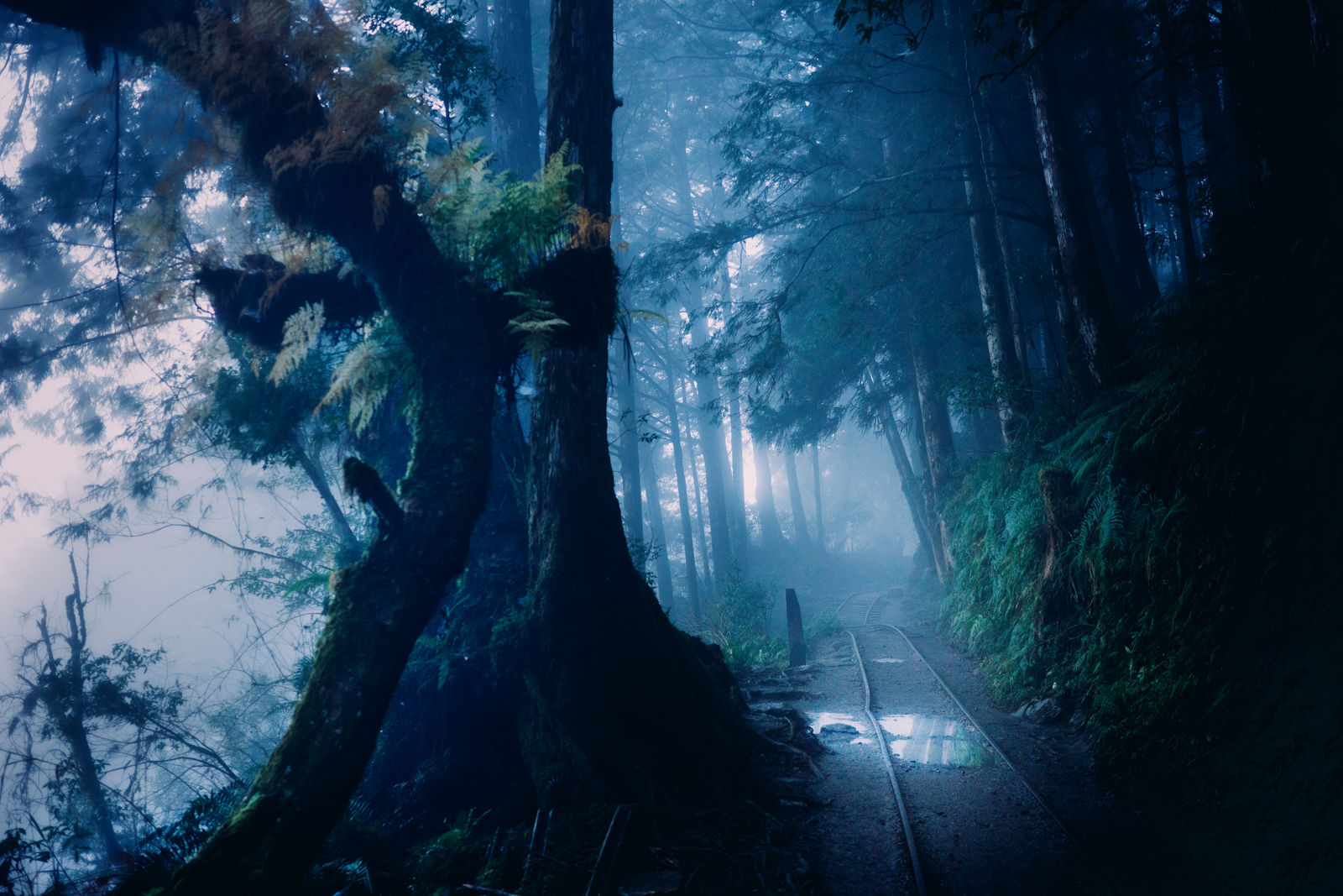 GR PHOTO FESTIVAL 國際評審與年度回顧