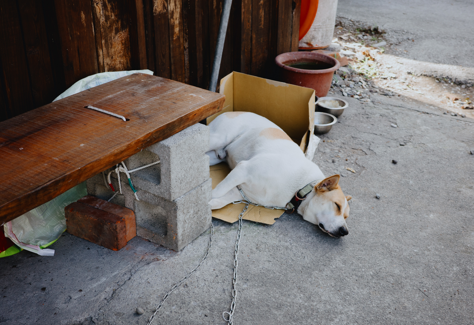 宜蘭太平山的光影