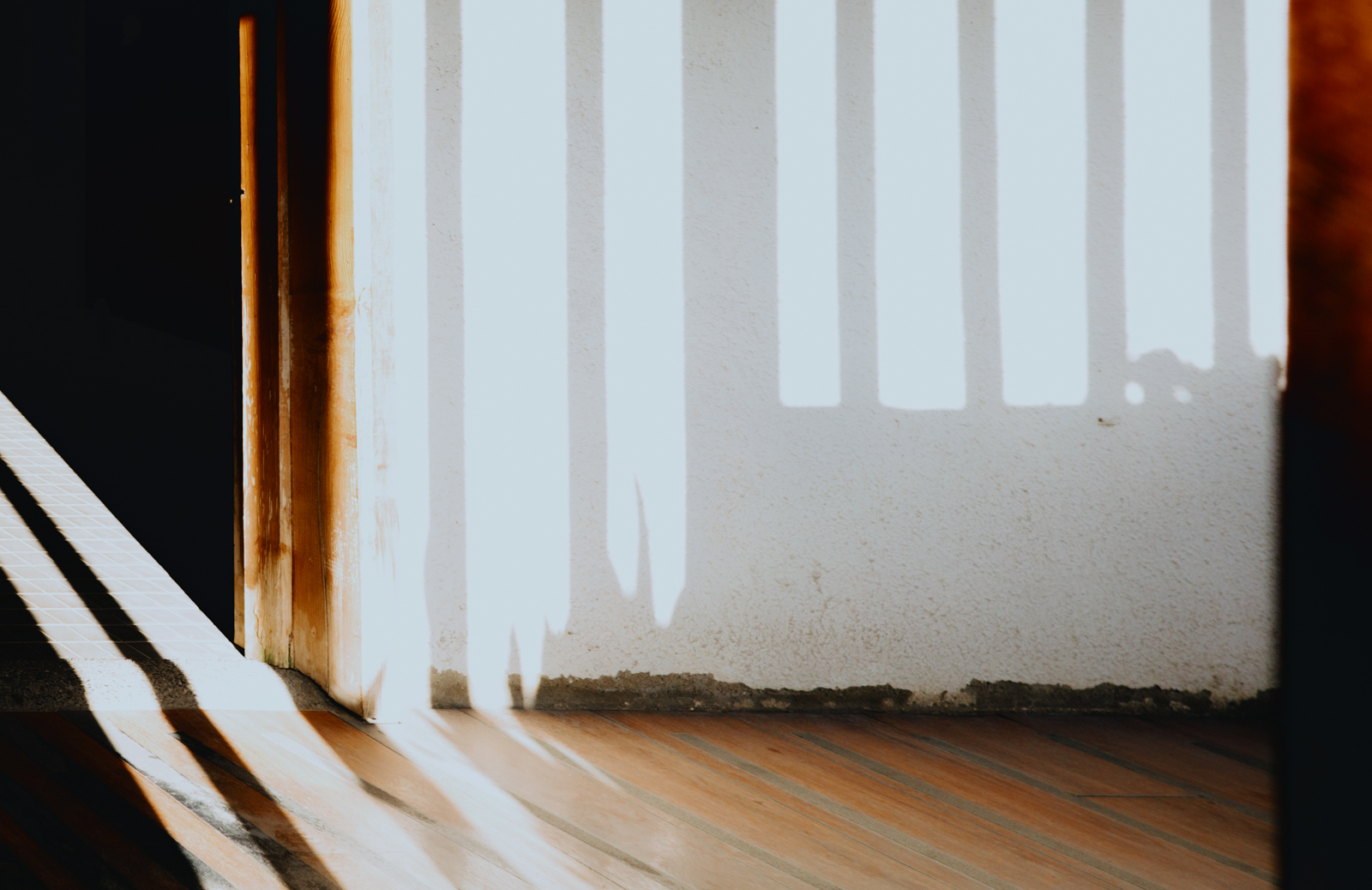 森林裡的治癒感