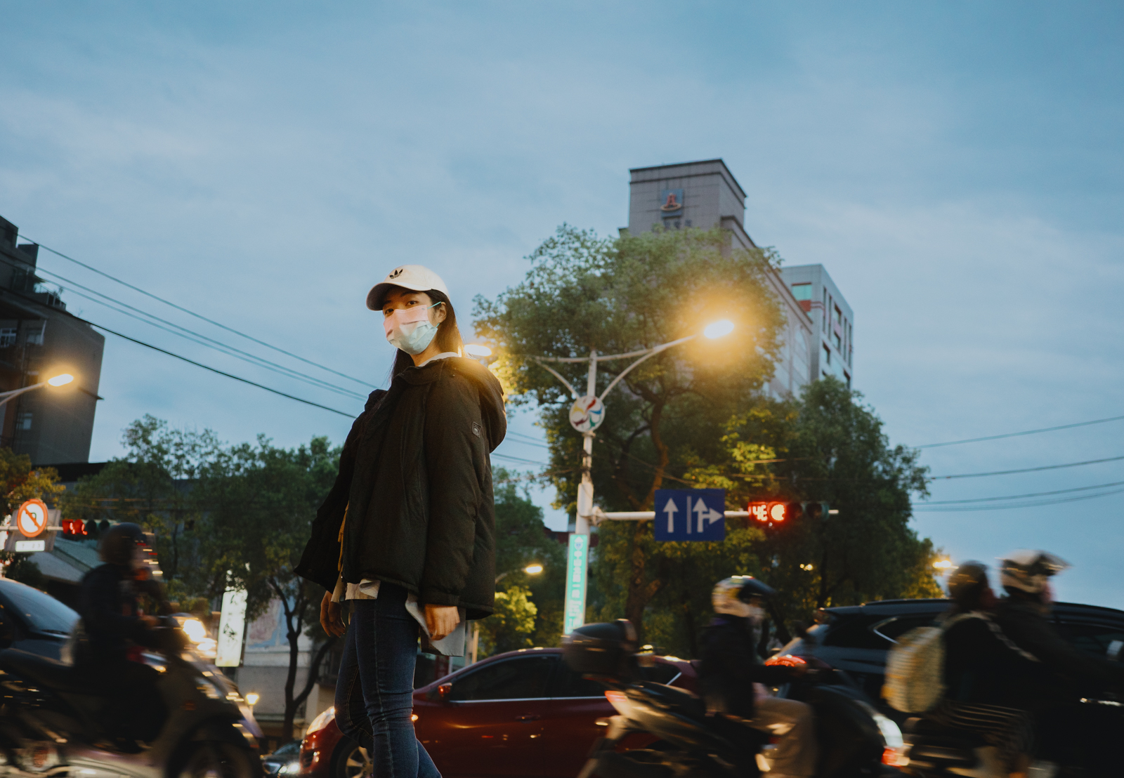 台東的光影與狗