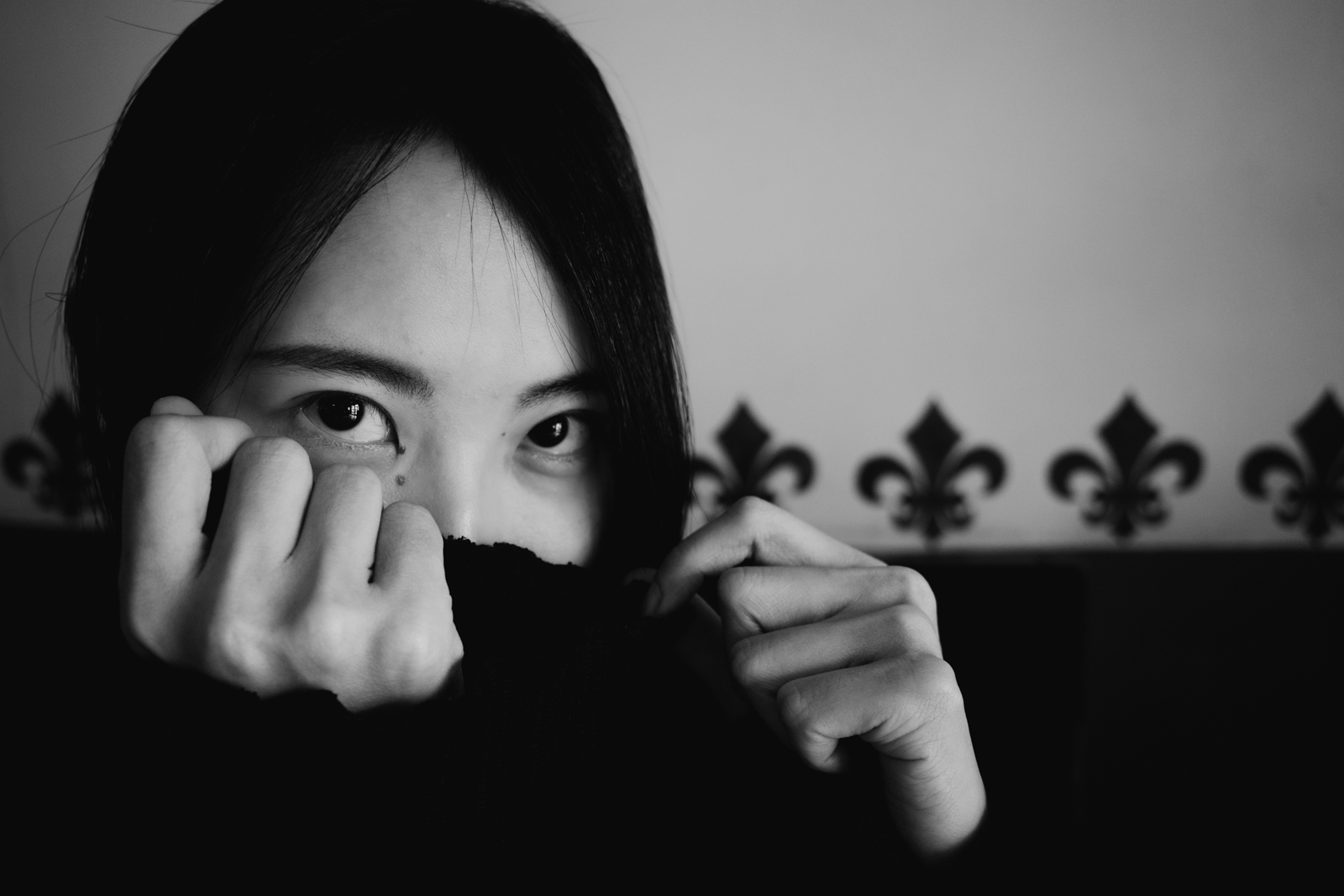 嘉義的櫥窗與生活 2