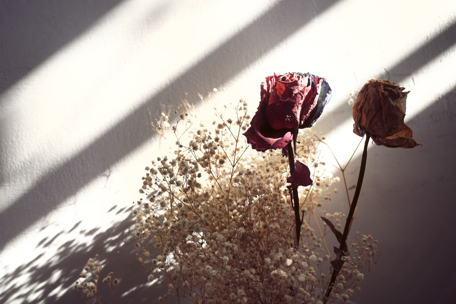 Classic Neg 經典負片 街頭實拍效果