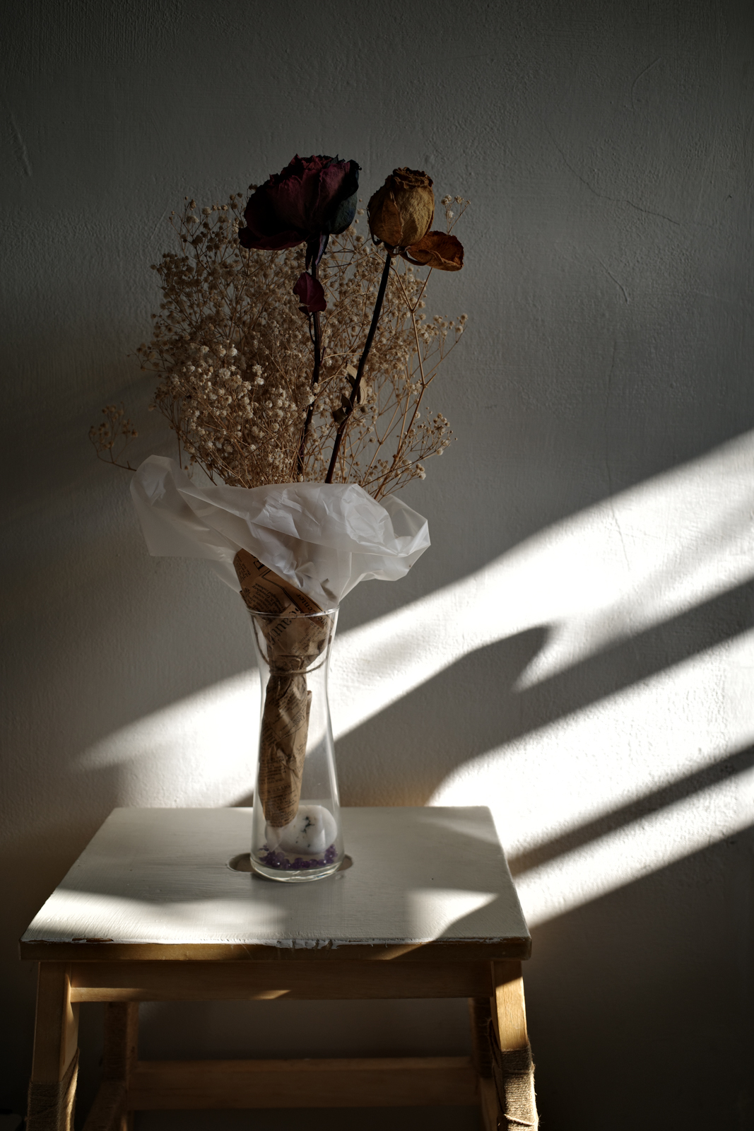 標準圖像：逆光人像特寫