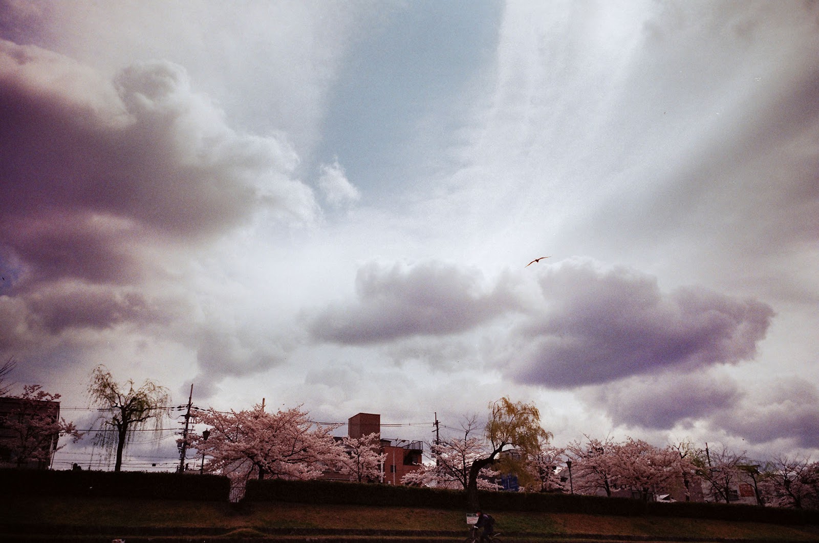 《默拍京都》底片攝影作品：午後時光