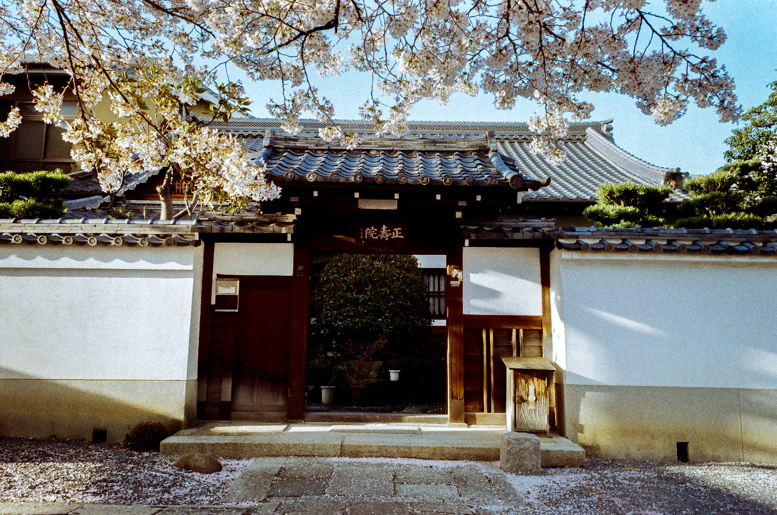 京都西陣地區散步街景與日常風景,感受巷弄間的美好拍照時光