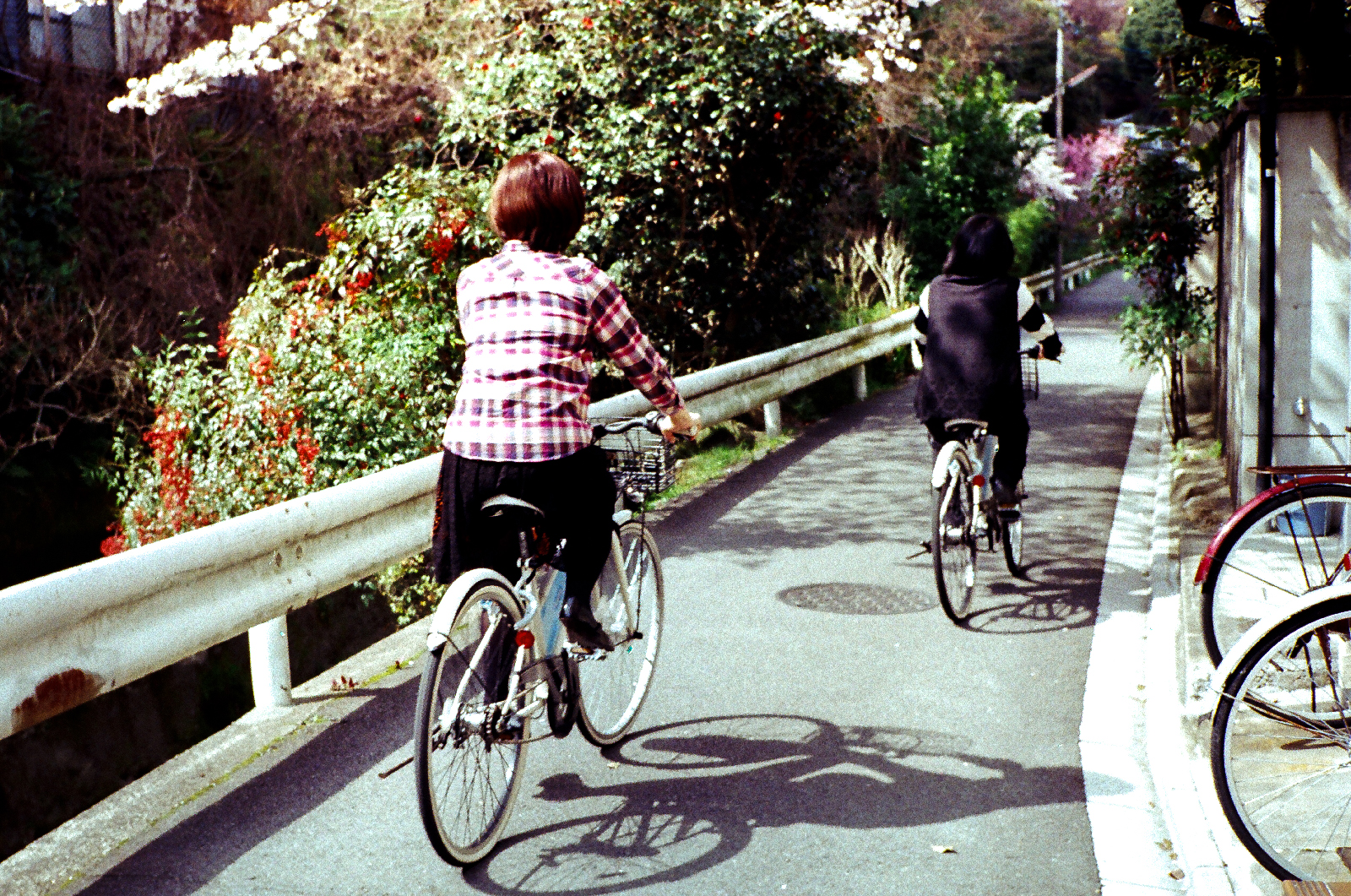 京都生活的日常片刻