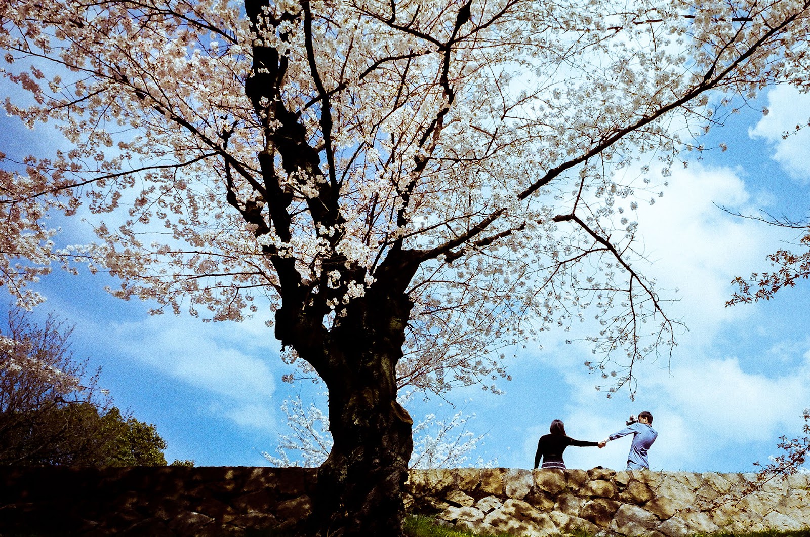 《默拍京都》底片攝影作品：光影的質感