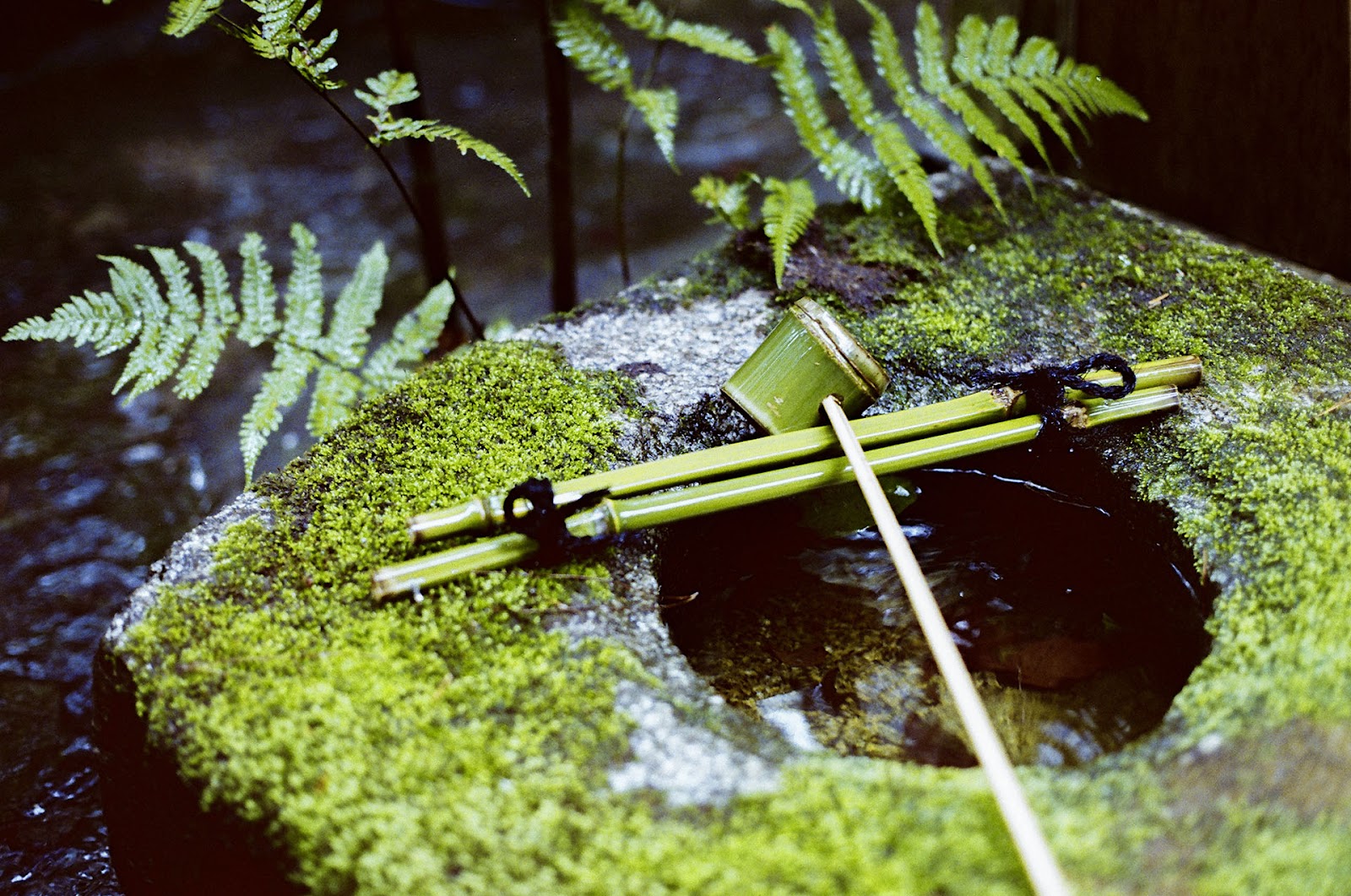 《默拍京都》底片攝影作品：鐵道風景