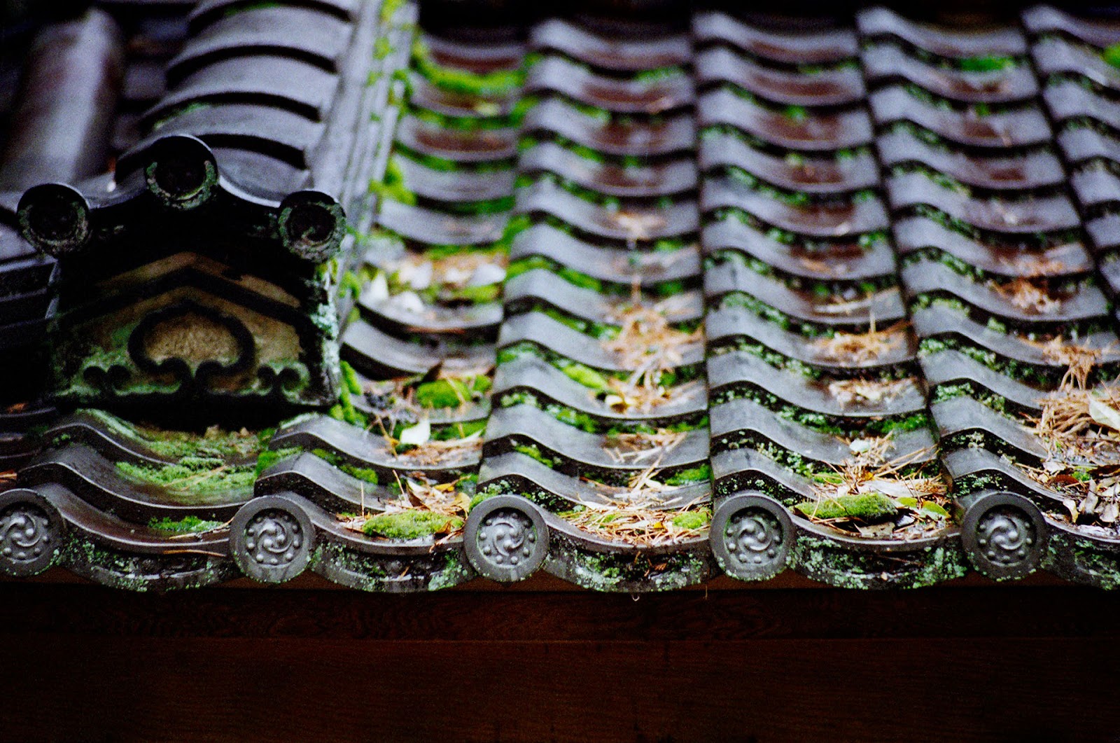 《默拍京都》底片攝影作品：充滿故事的畫面