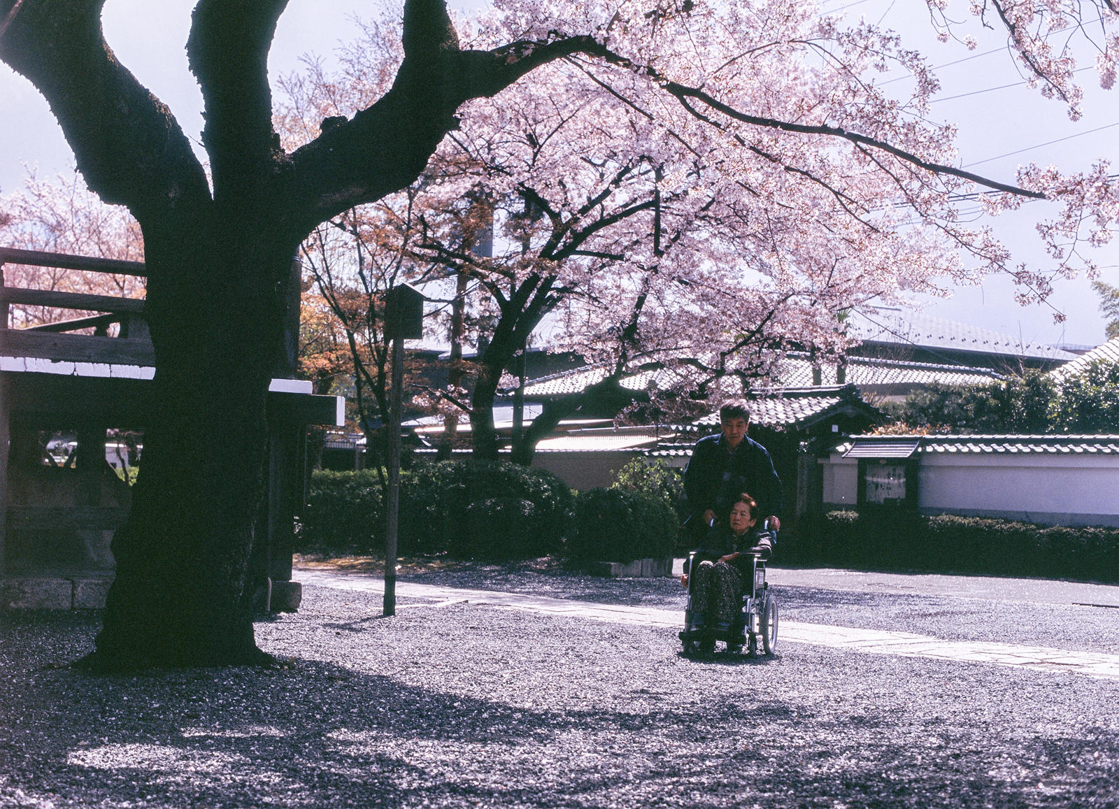 透過觀景窗看見的京都日常,保留生活細節的攝影紀錄