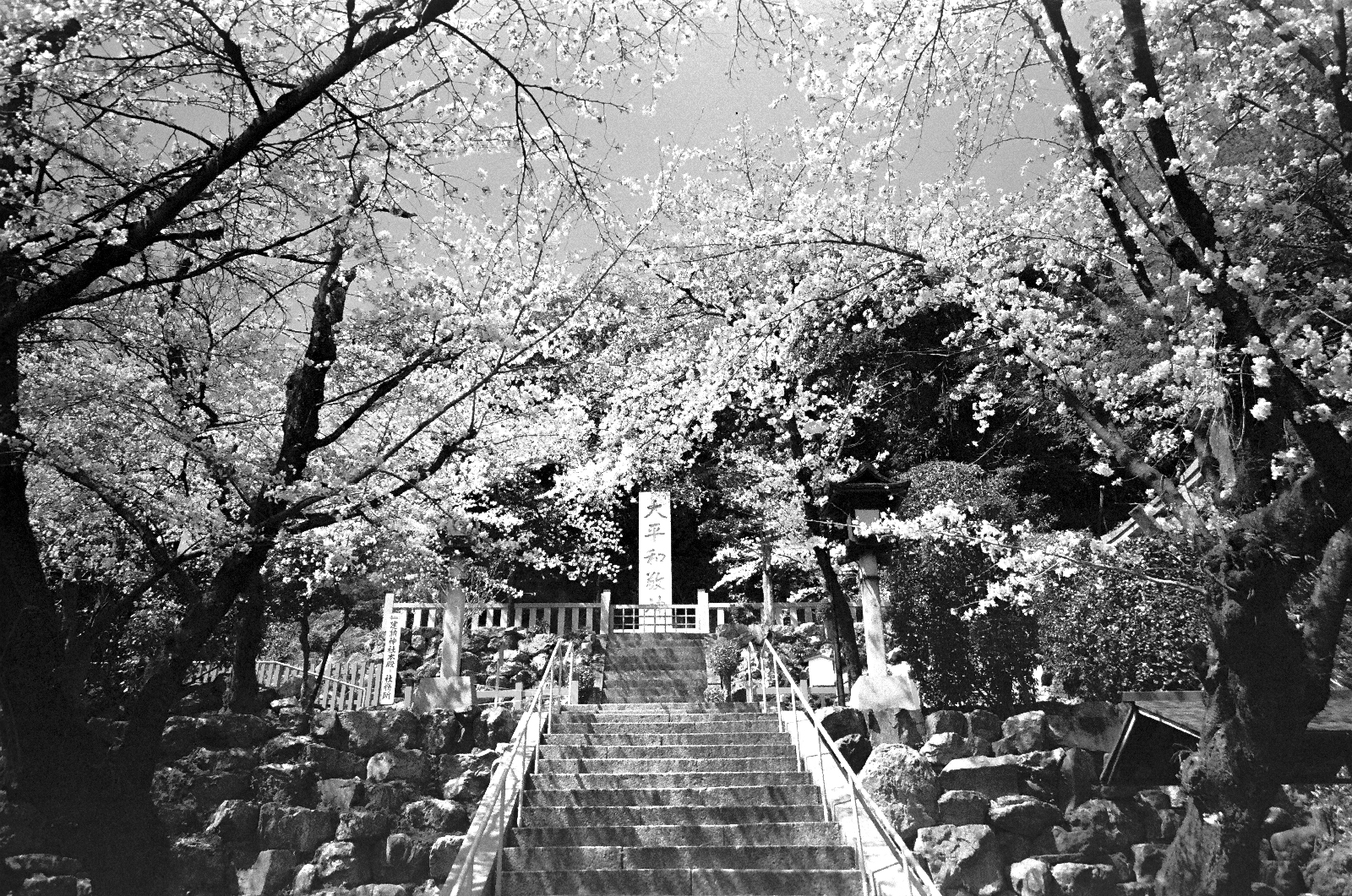 京都鞍馬口通的街頭風景與夕陽光影