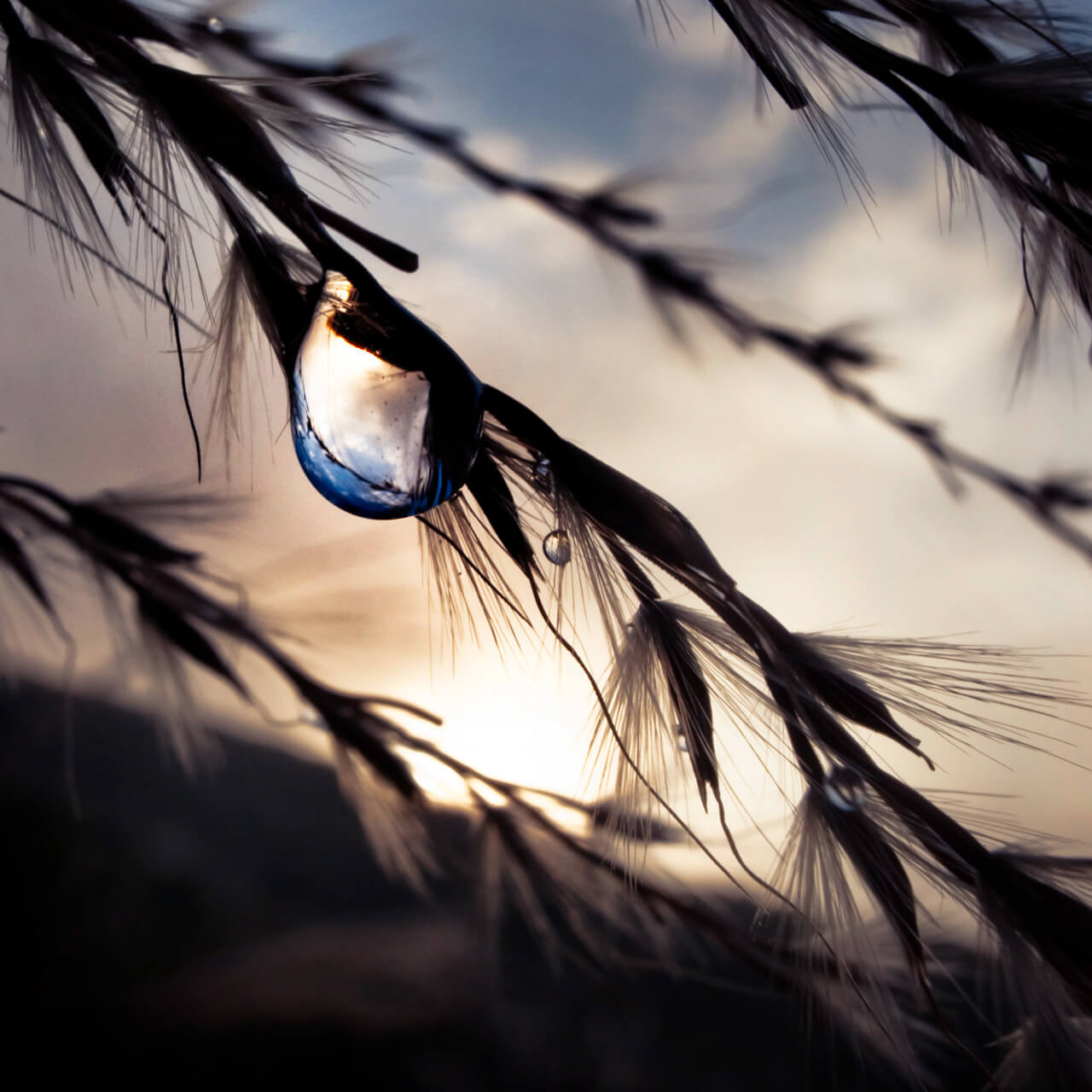 攝影師 mookio 的 GRD 攝影作品：純粹的光影對比