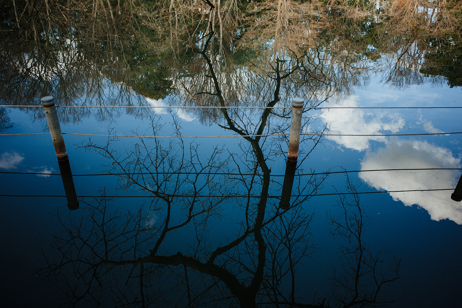 GR3 曝光與影調組合實拍示範：明亮日系風格