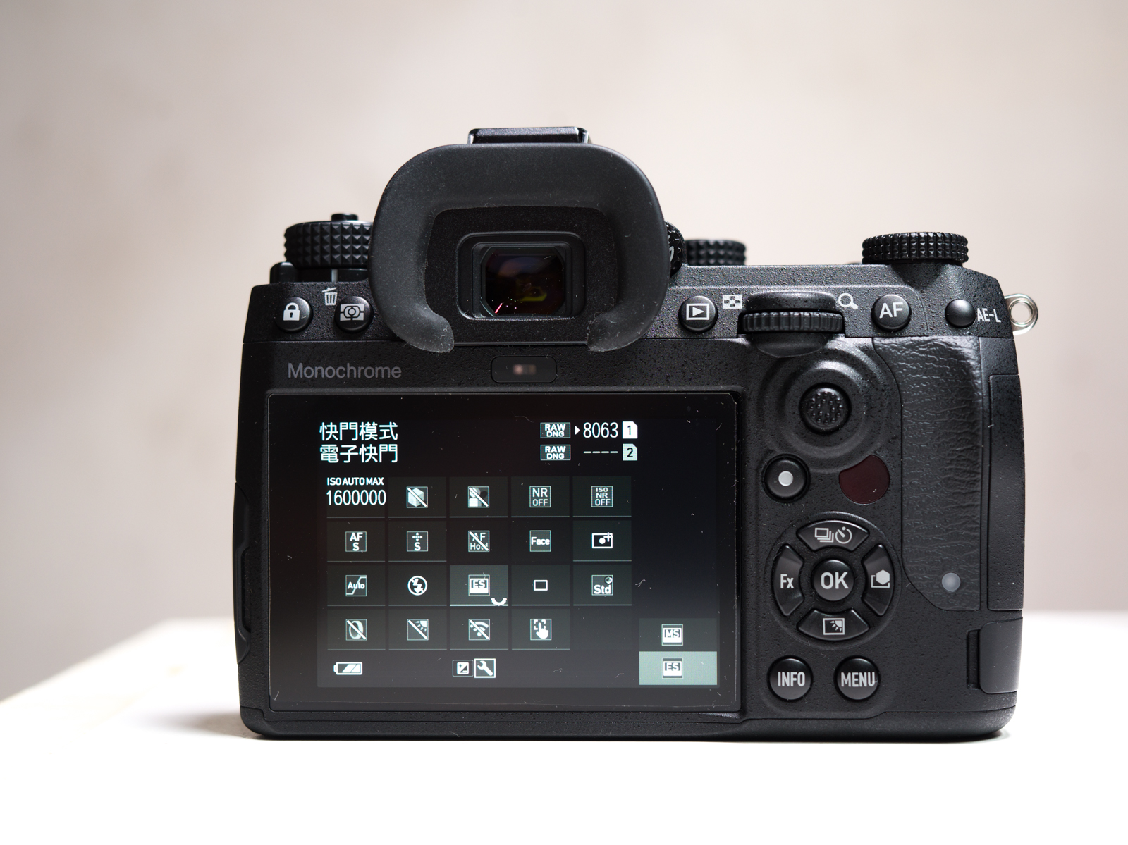 PENTAX K-3 Mark III Monochrome 觀景窗特寫