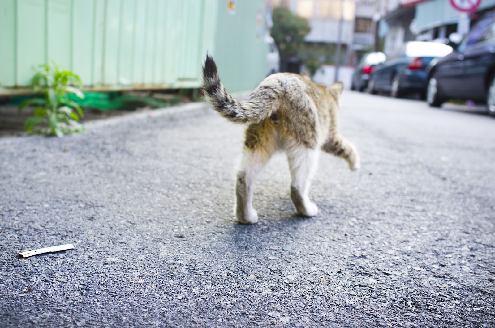 FUJIFILM X100 實拍作品：靜謐時光 1