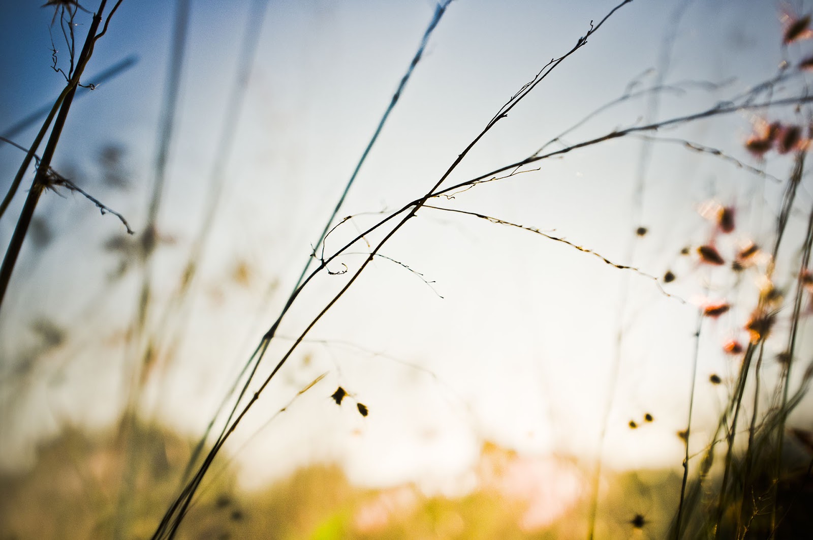 FUJIFILM X100 實拍作品：光影的質感