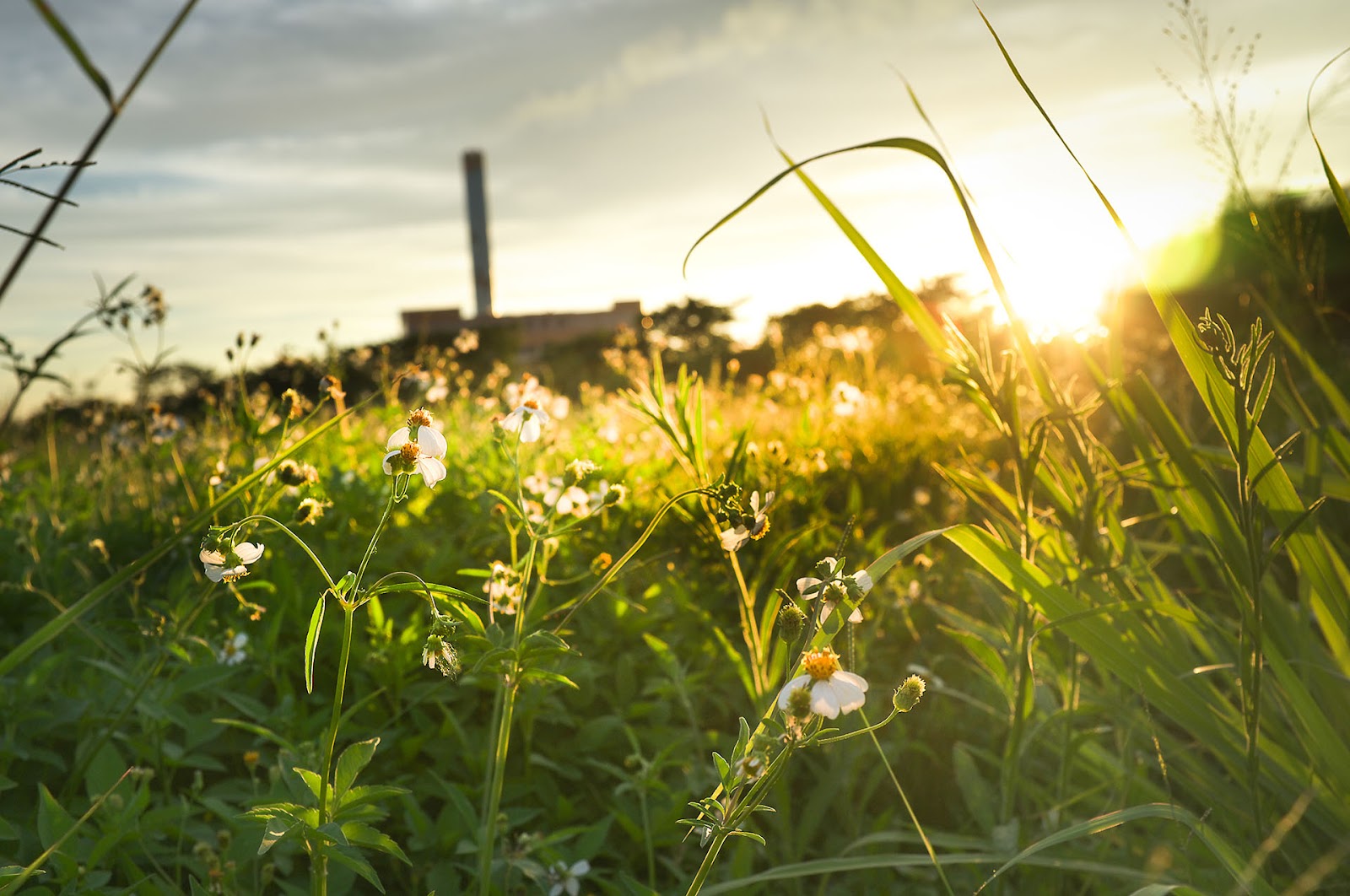 FUJIFILM X100 實拍作品：街頭紀實