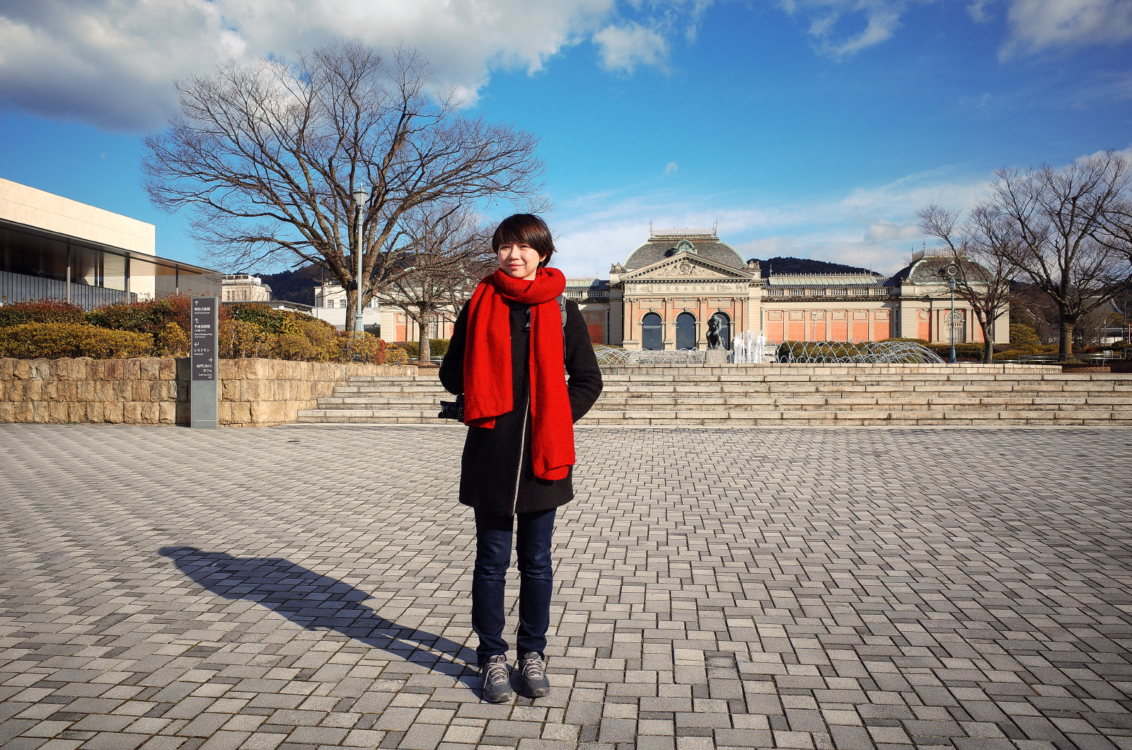 京都陽光穿透樹林