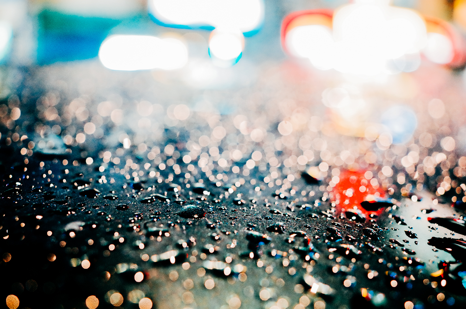 GR II 加上 GM-1 拍攝微距畫面 1