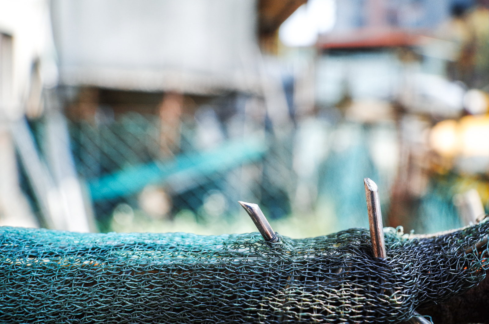 GR II 加上 GM-1 拍攝微距畫面 2