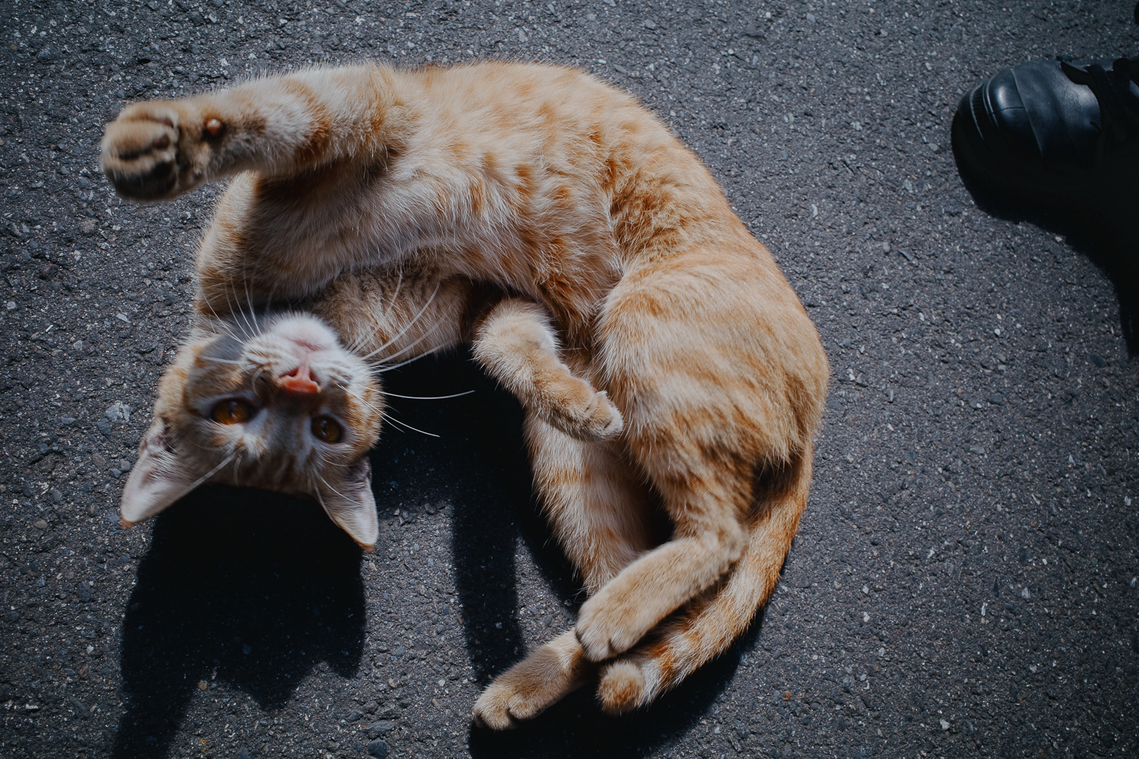 GR 色彩微調實拍：溫暖的夕陽光線質感