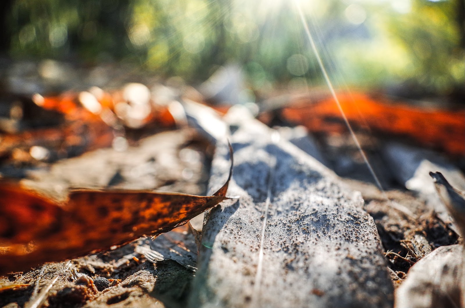 GR 相機曝光補償操作介面畫面