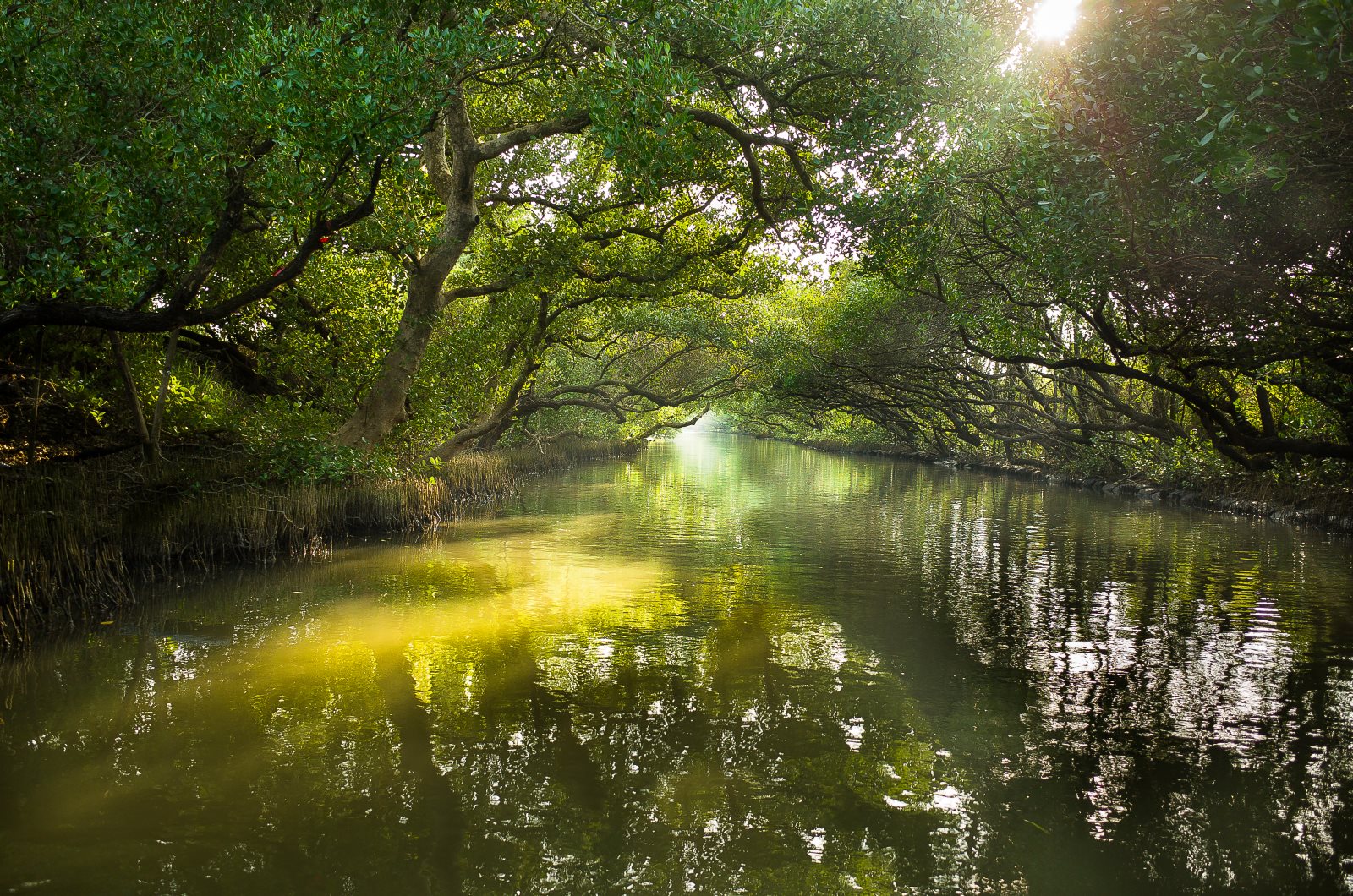 GR 相機 Fn 快捷鍵選單操作畫面