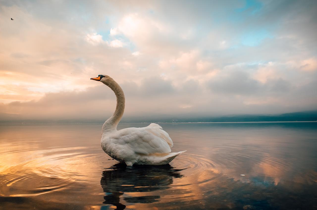 富士山與山中湖美景，由 GR II 拍攝