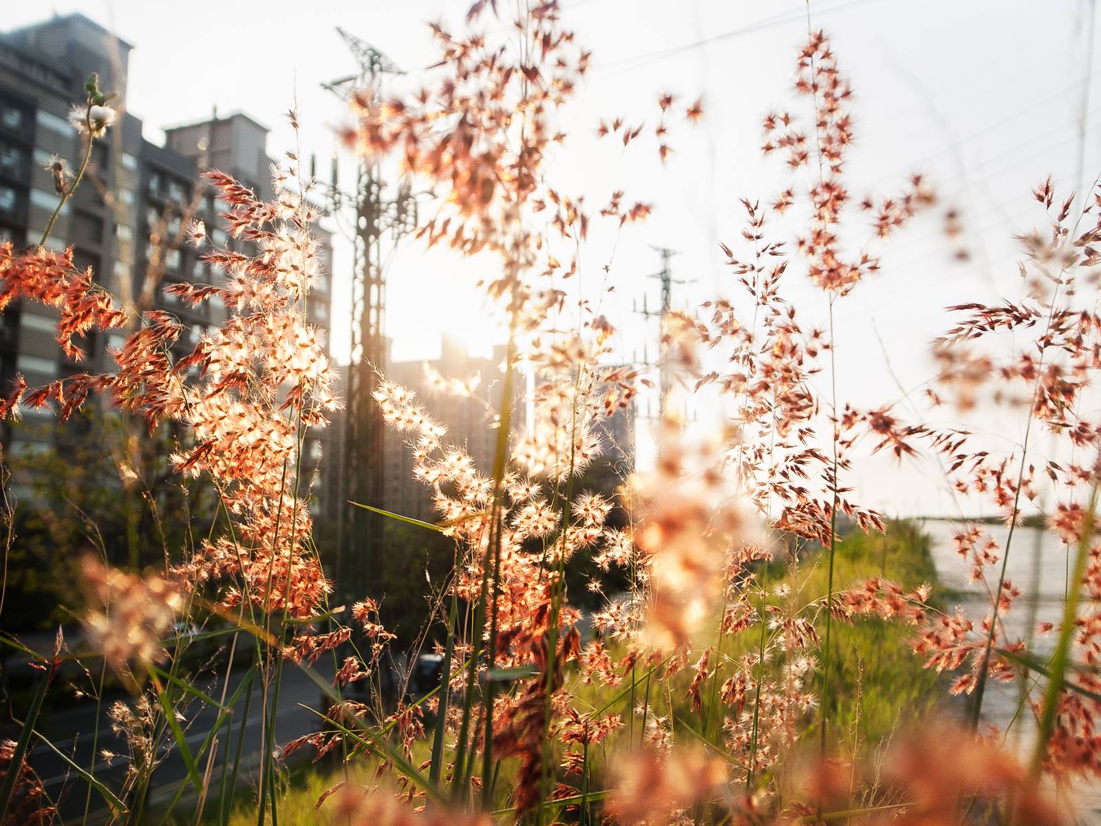 GR 相機 P 程序偏移模式選單操作畫面