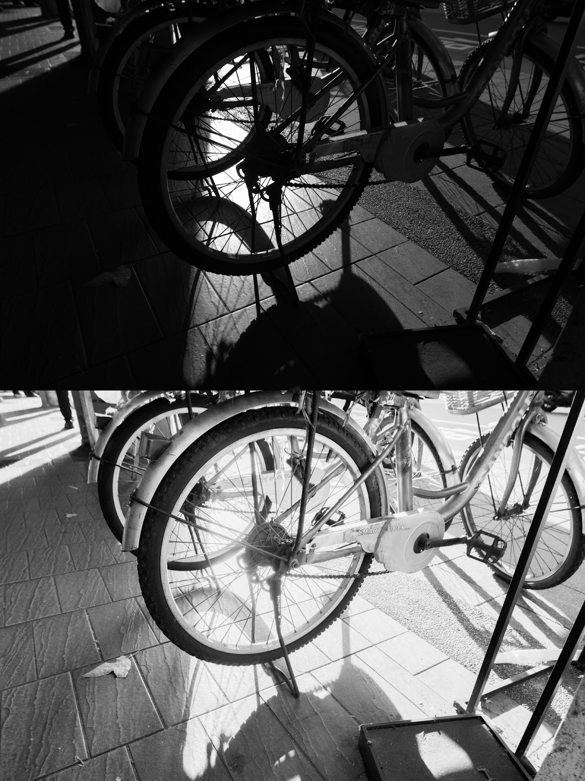 PENTAX K-3 Mark III Monochrome 實拍照片：動態範圍展示