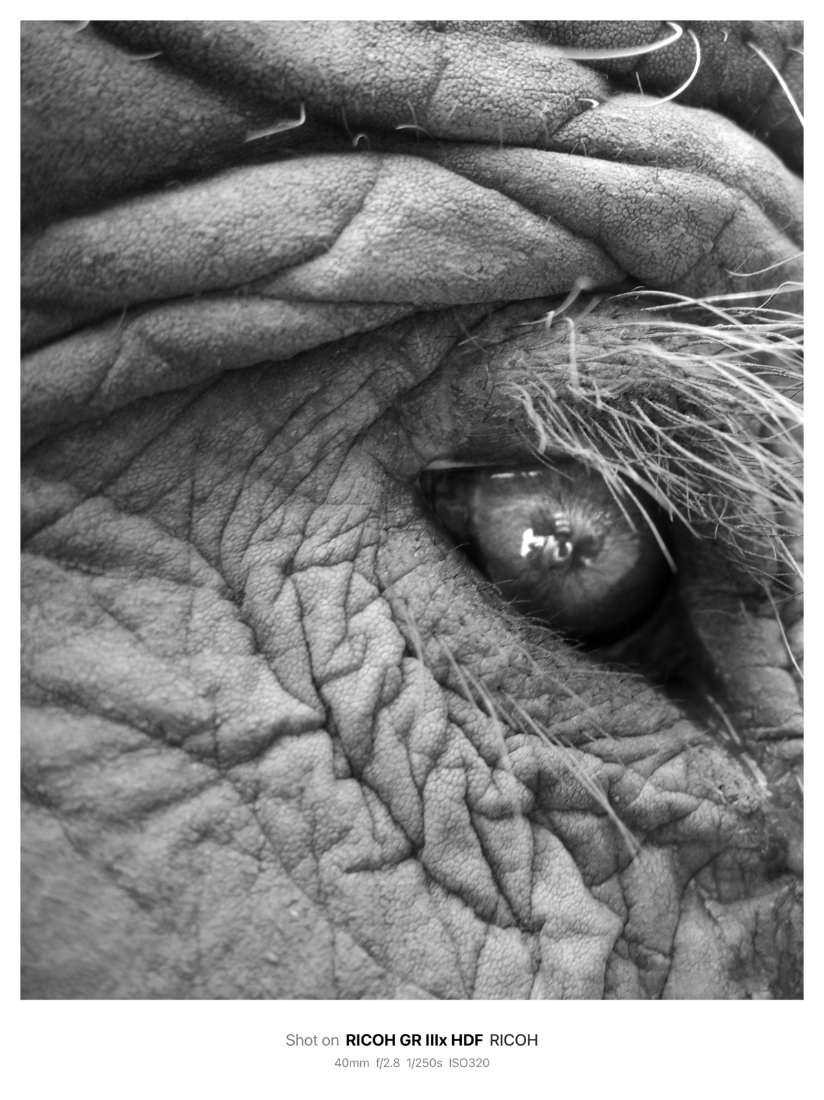 清邁街頭攝影反思：探索光影與真實的界線