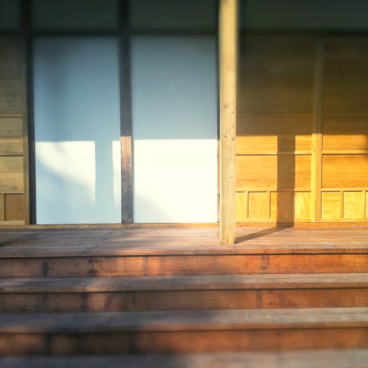 iPhone 攝影作品：日常靜物與光影