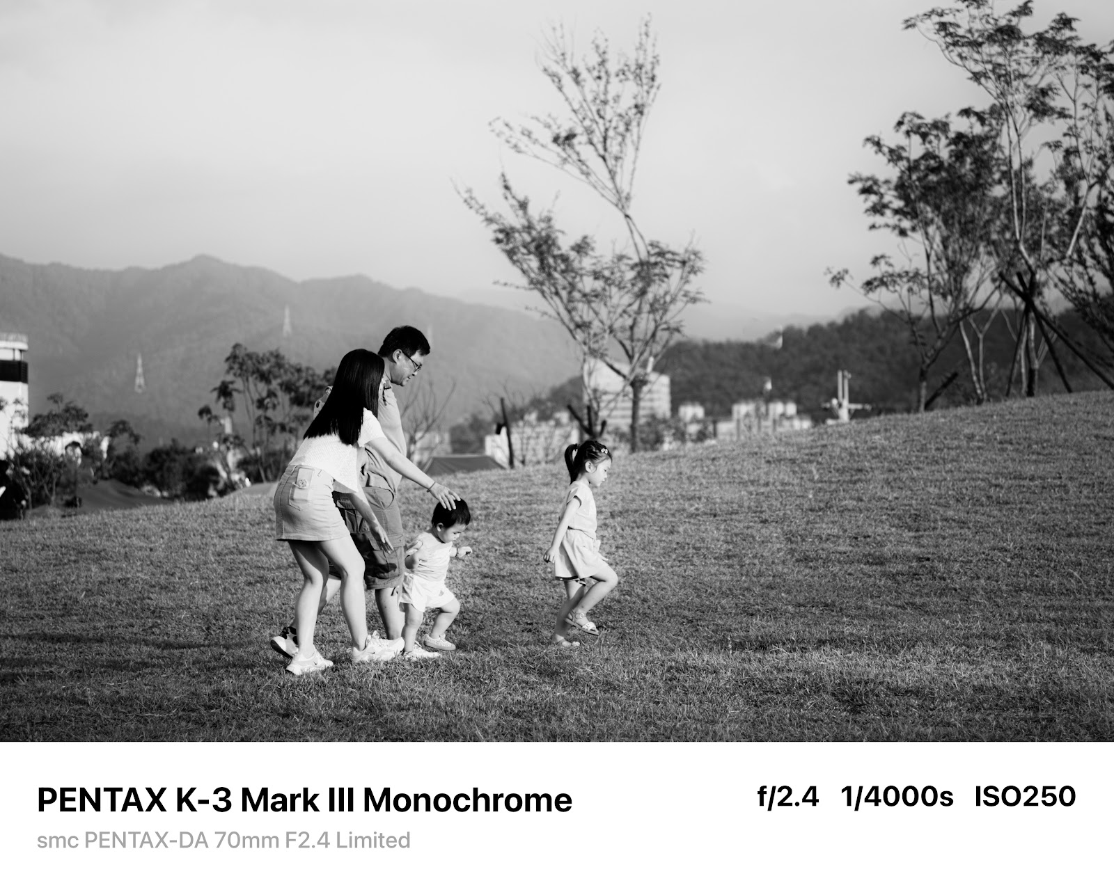 PENTAX K-3 Mark III Monochrome 實拍照片：豐富的灰階層次