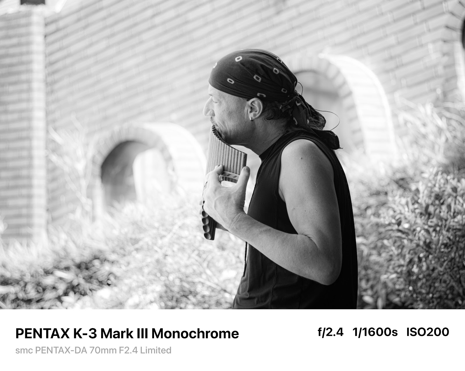 PENTAX K-3 Mark III Monochrome 實拍照片：結語圖 2
