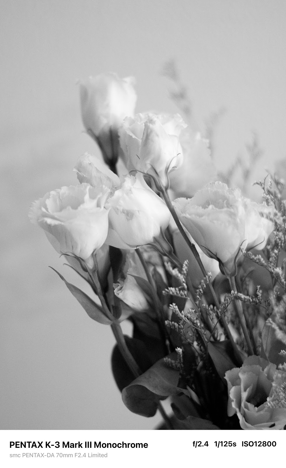PENTAX K-3 Mark III Monochrome 實拍照片：低光環境細節