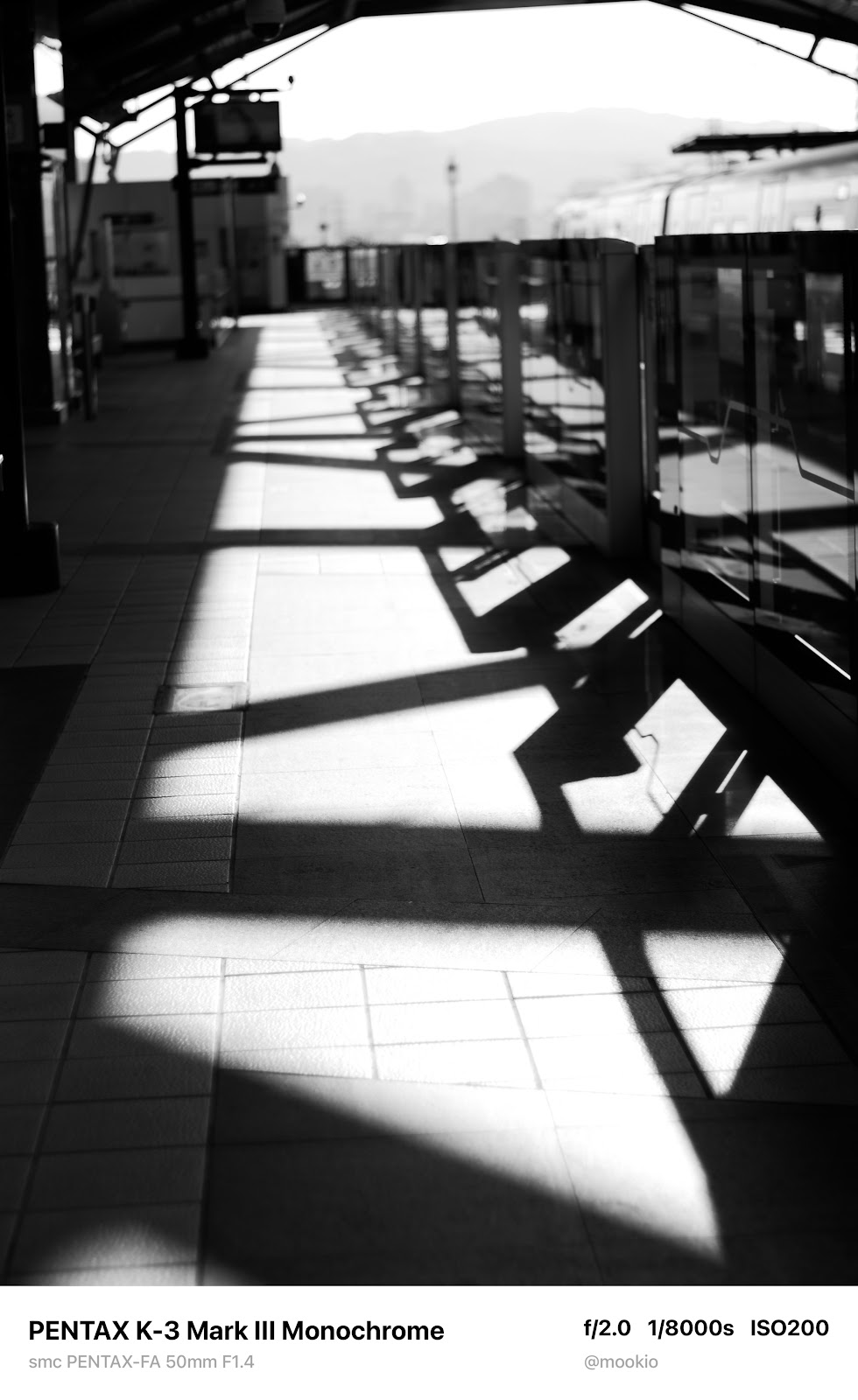 FA 50mm F1.4 實拍黑白大光圈立體感 1