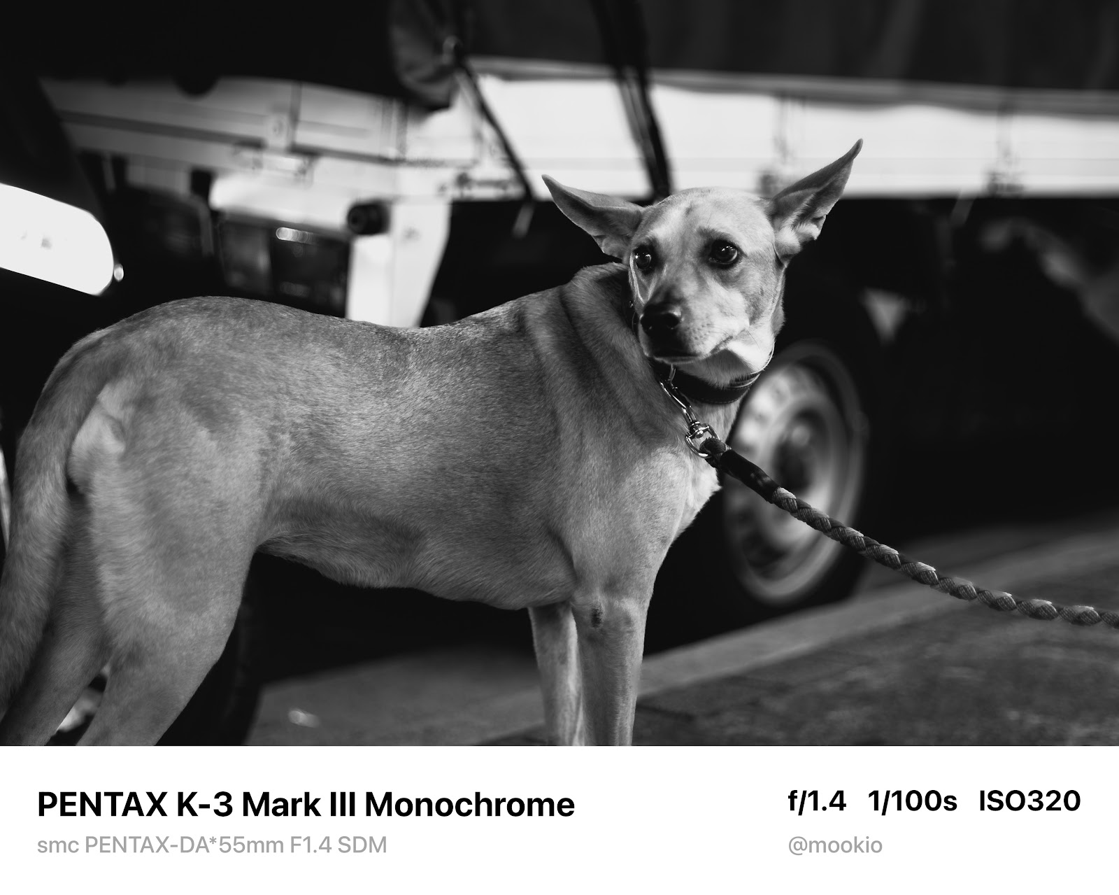 DA* 55mm F1.4 實拍黑白氛圍感 5
