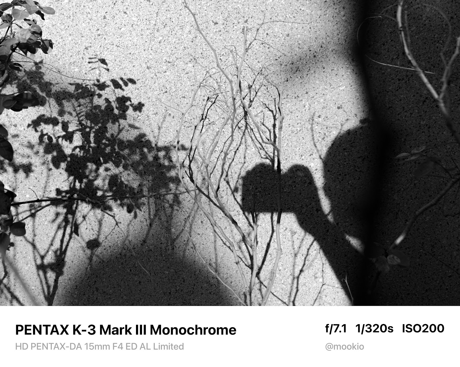 DA 15mm F4 Limited 實拍黑白廣角街景 4