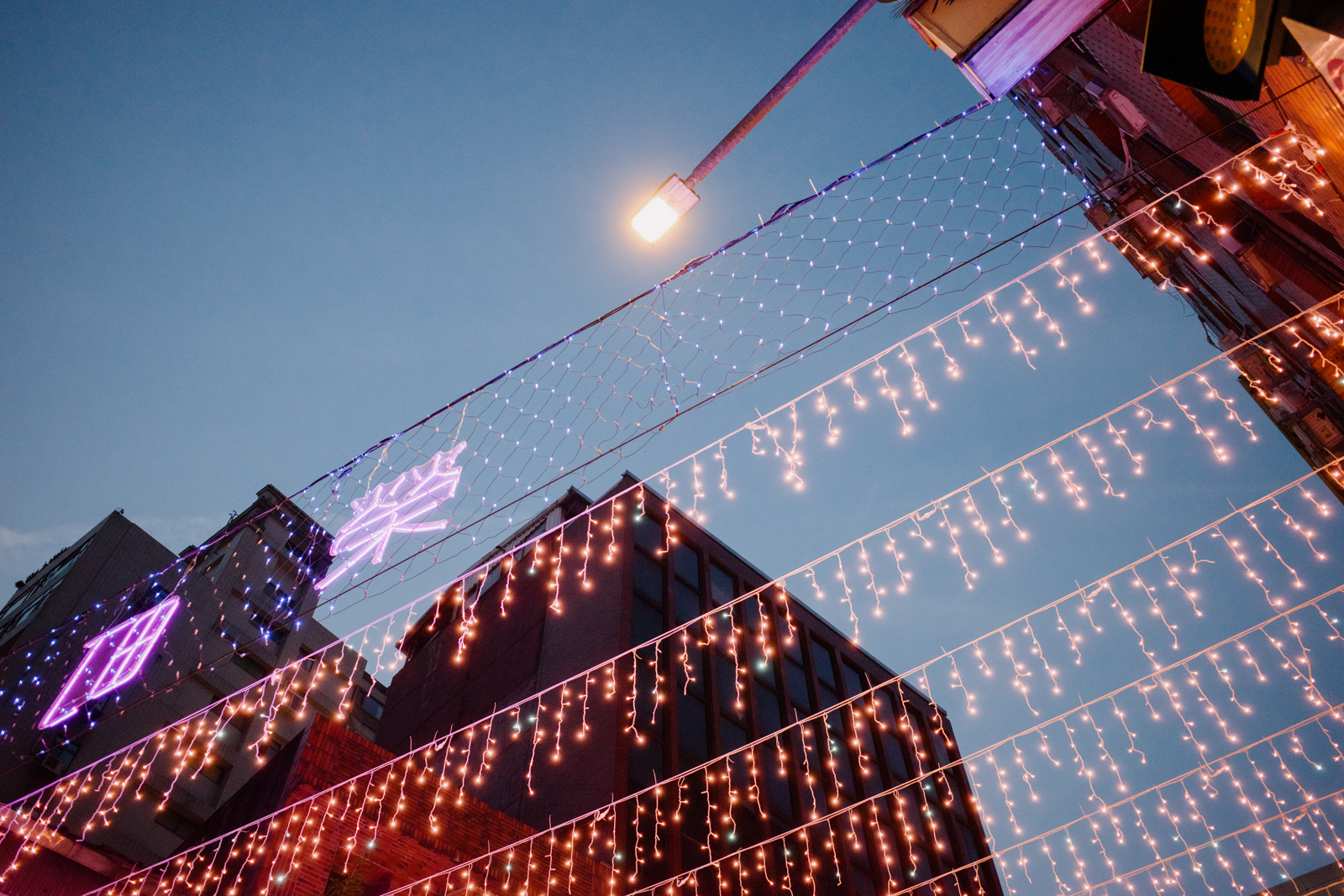 GR III HDF 實拍光影變化 1