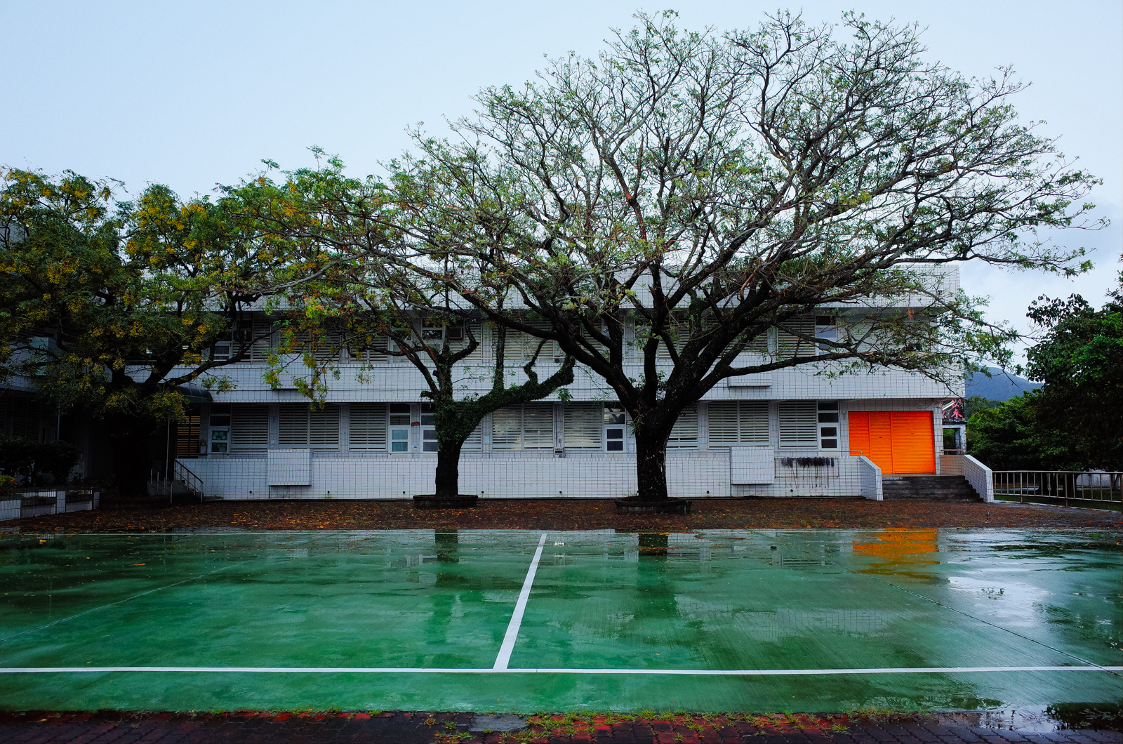 GR II 正片效果實拍：風景與靜物