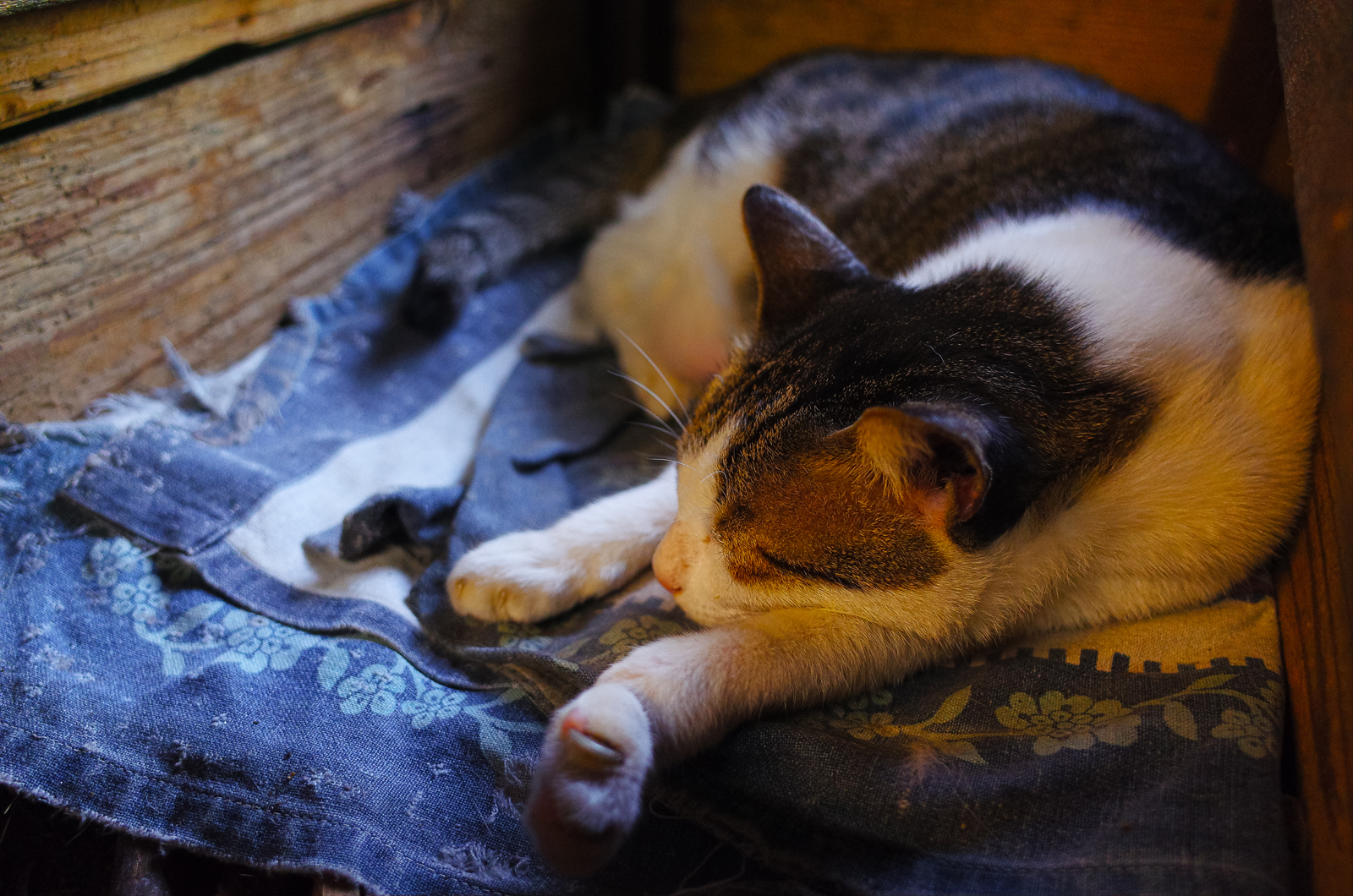 隨走隨拍的街頭紀實