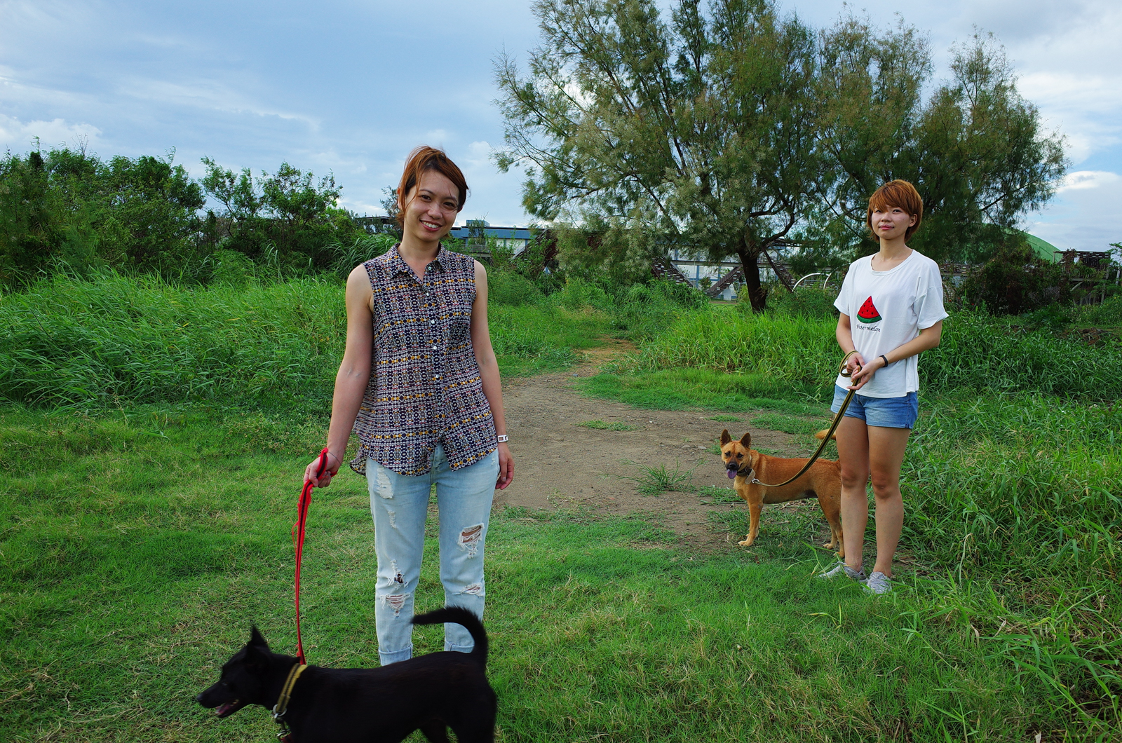 GR II 清晰效果實拍