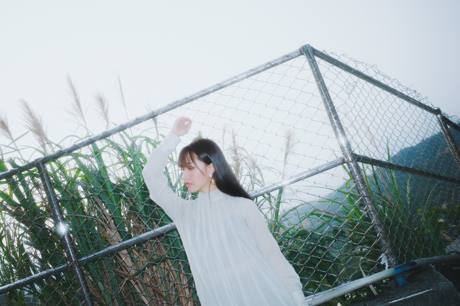 Ricoh GR III HDF 實拍心得：底片化的視覺效果