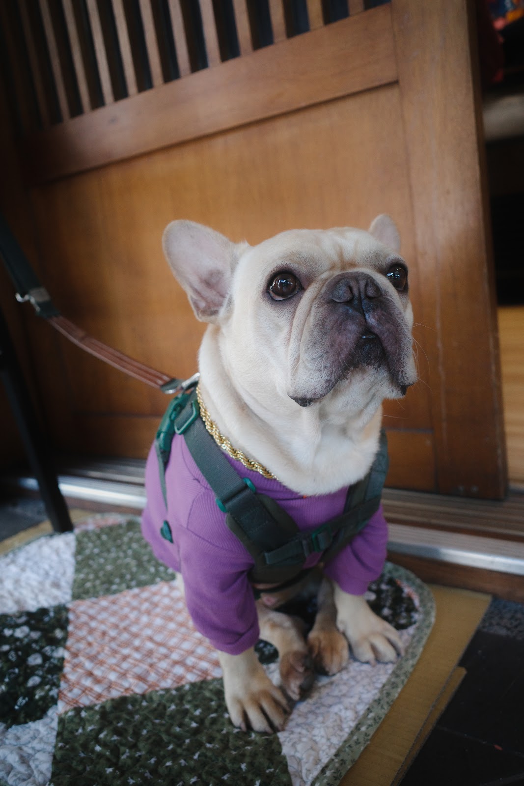 Negative 負片色彩實拍：日常光影捕捉 1