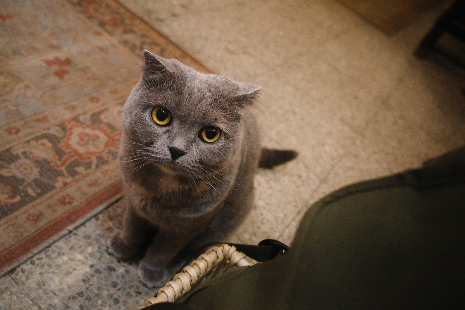 Negative 負片色彩實拍：日常街景與光影 2