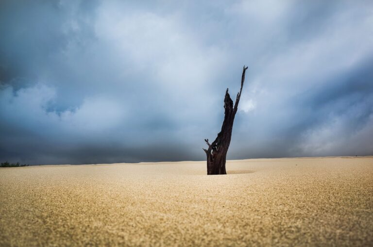 RICOH GR 攝影作品:街頭光影紀實