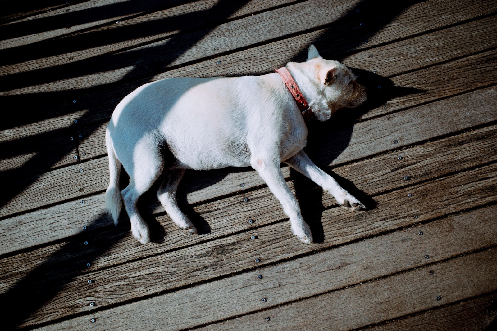 生活中的零碎片段，也是構成自我世界的一環