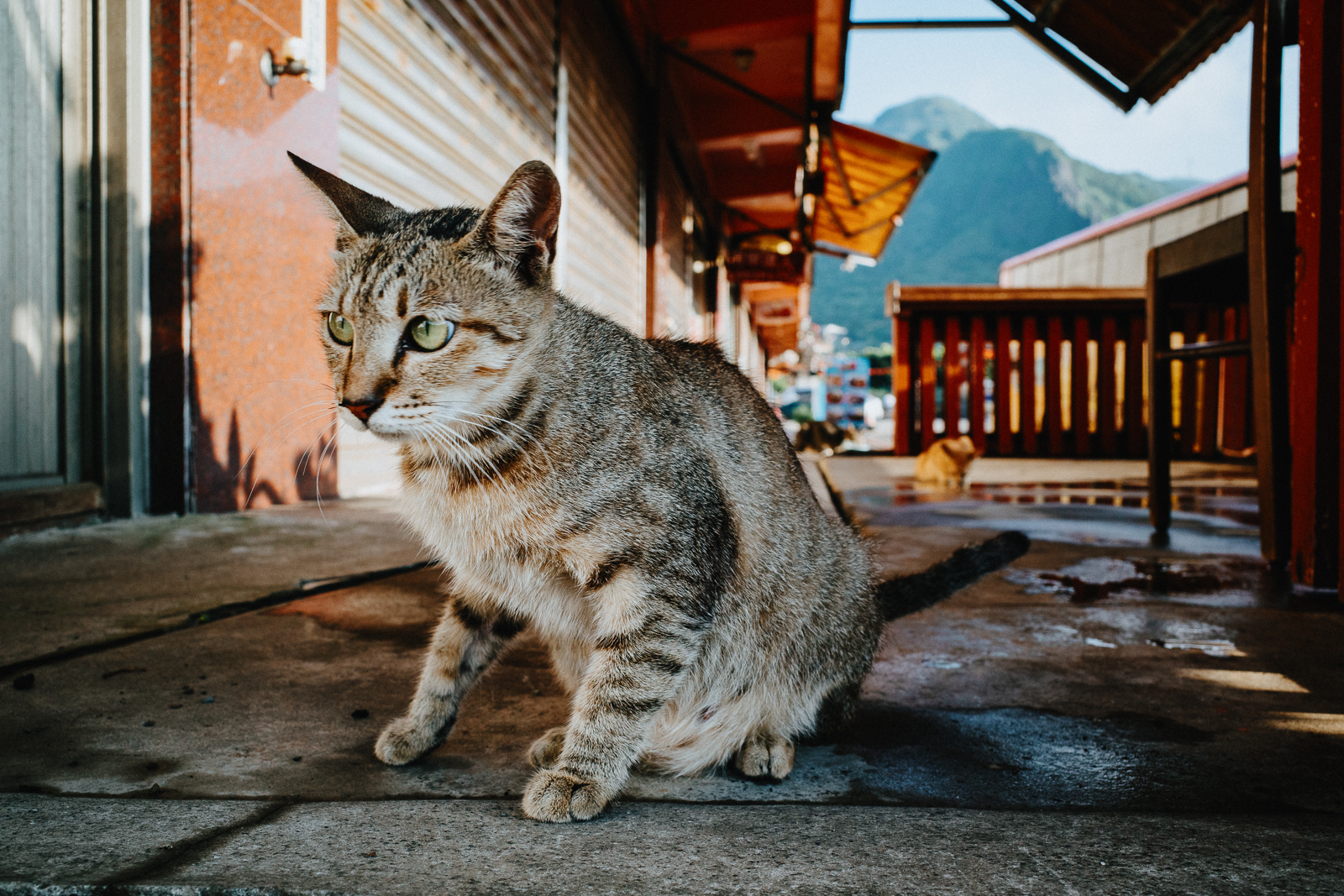 用心觀察光線在空間裡的流動