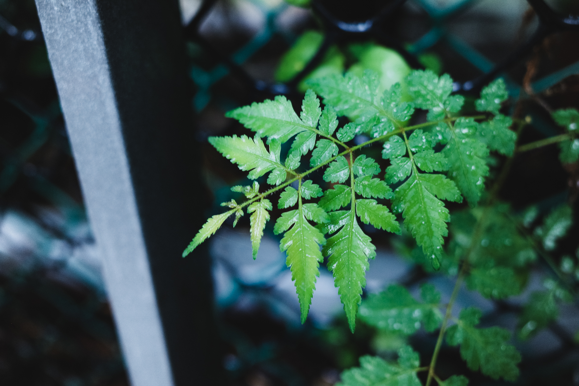 GR III 拍攝風景：天空與雲彩層次