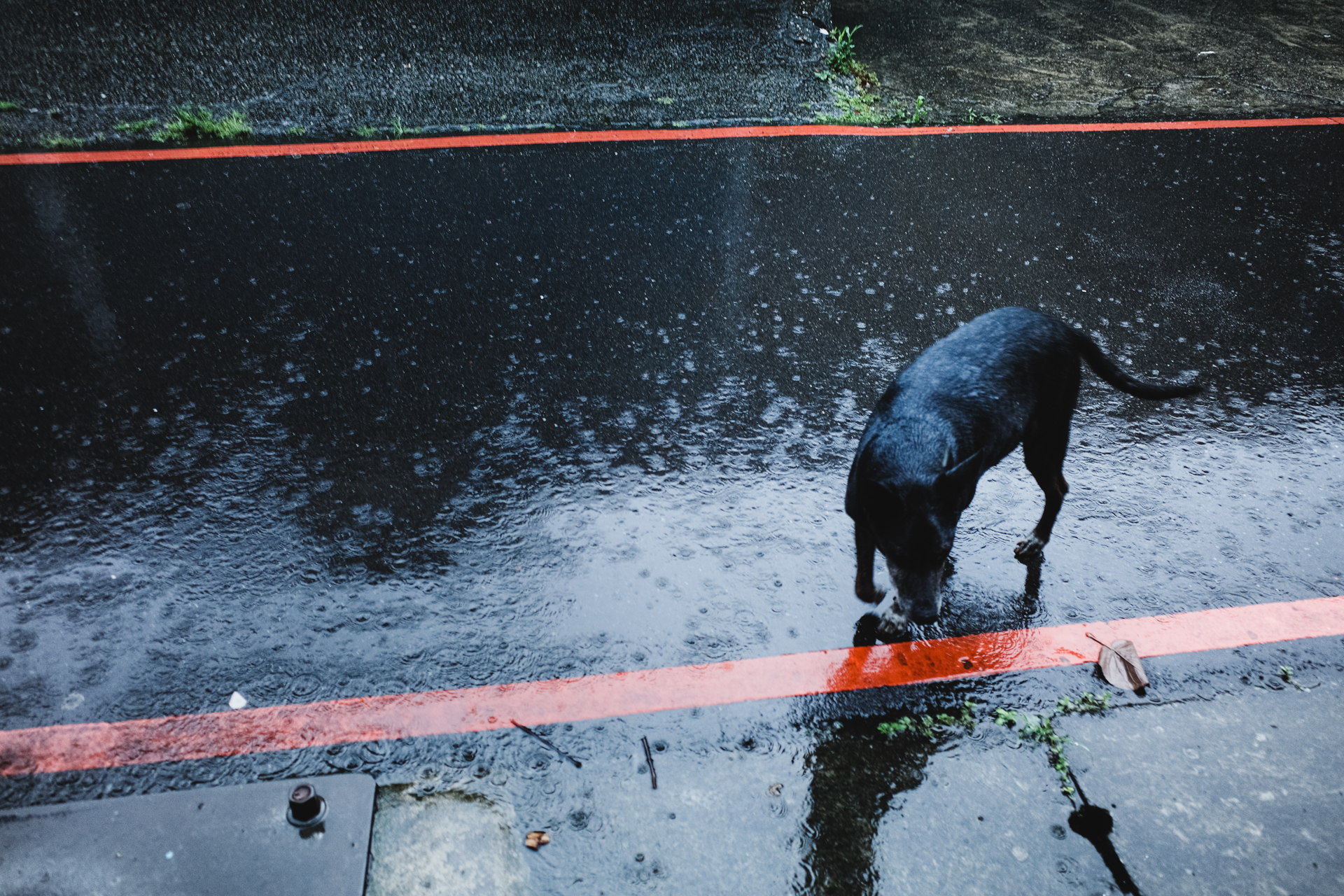 GR III 風景實測：豐富的環境色彩表現